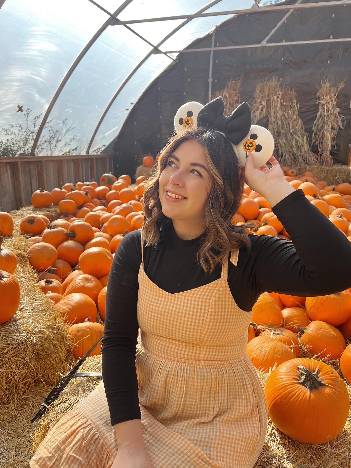 Embroidered Mouse Pumpkins